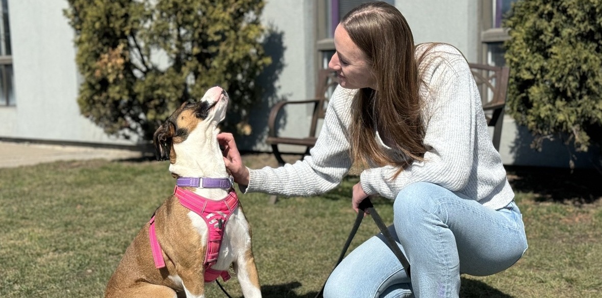 chien se faisant carresser par l'éducatrice